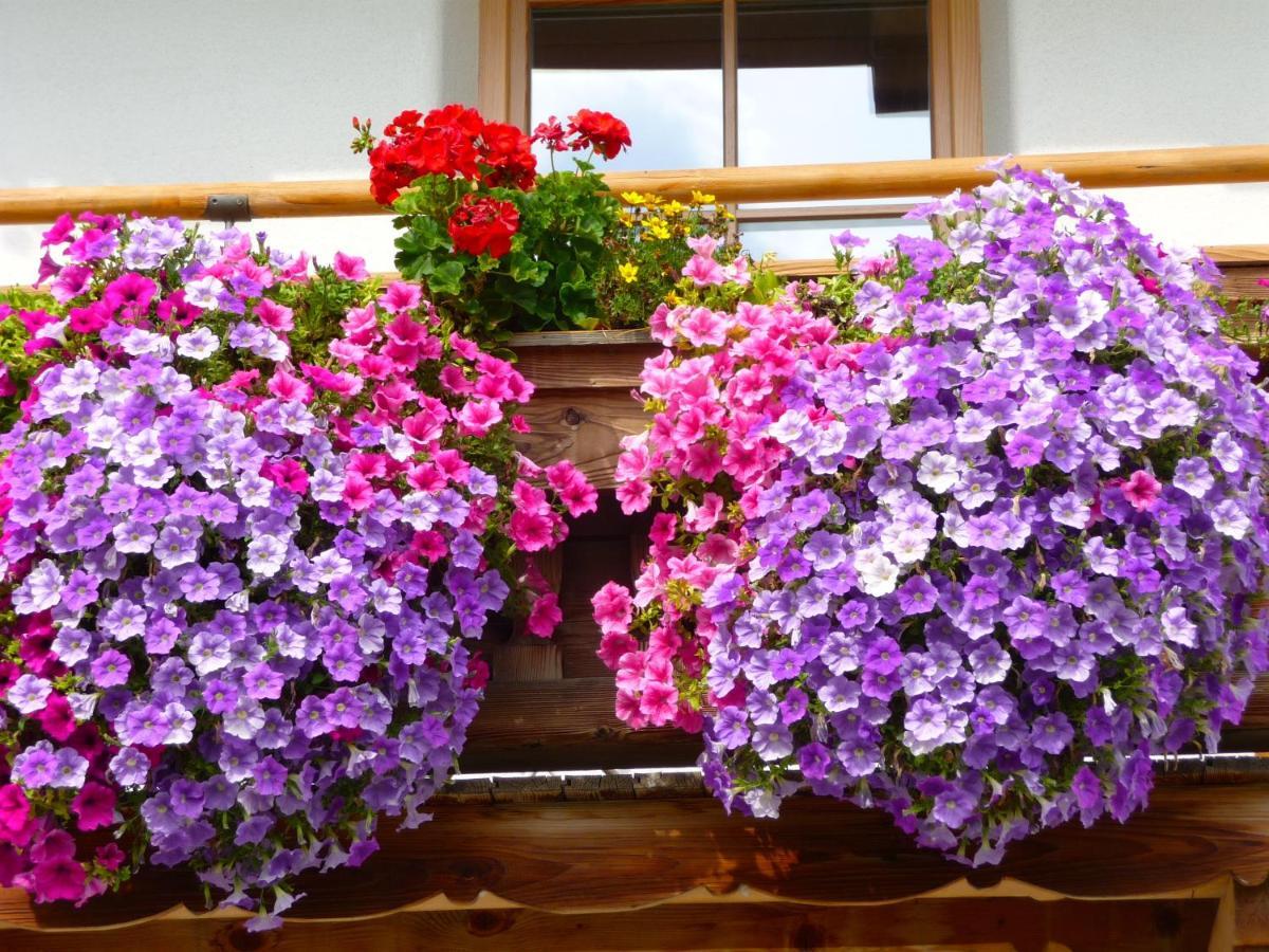 Ferienwohnung Huberhof Oberndorf in Tirol Zewnętrze zdjęcie